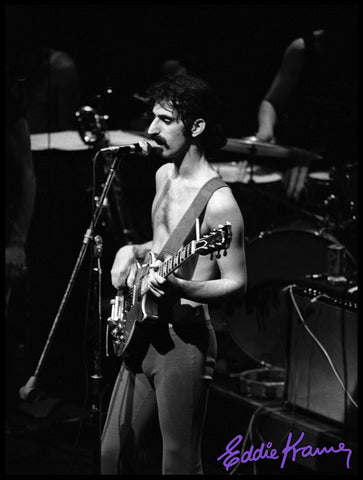 FRANK ZAPPA: <br>THE PACKAGE